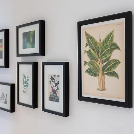 Bellecour-jungle Appartement